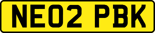 NE02PBK