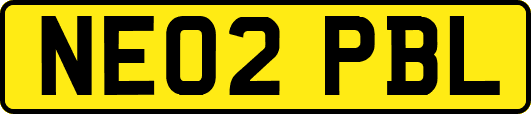 NE02PBL