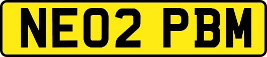 NE02PBM