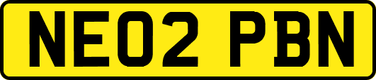 NE02PBN