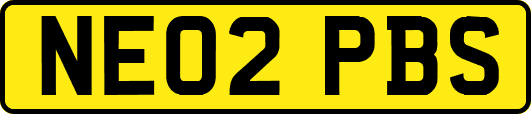 NE02PBS