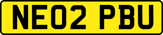 NE02PBU