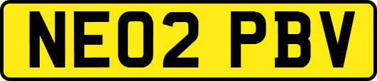 NE02PBV