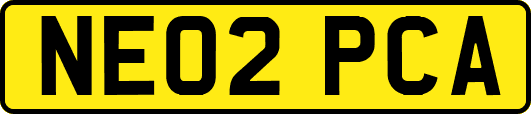 NE02PCA