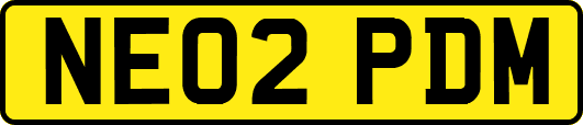 NE02PDM