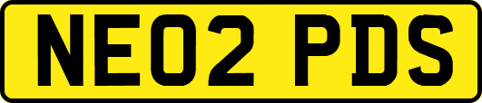 NE02PDS
