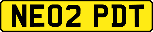 NE02PDT