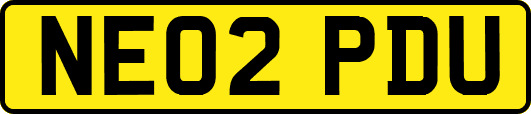 NE02PDU