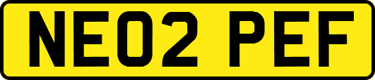 NE02PEF