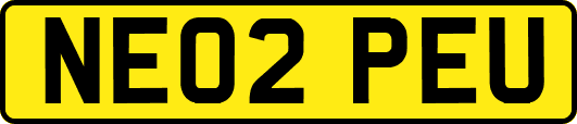 NE02PEU