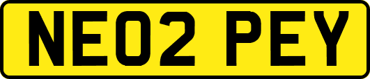 NE02PEY