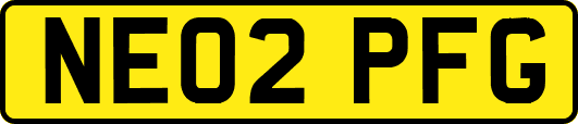 NE02PFG