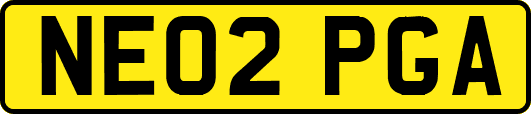 NE02PGA