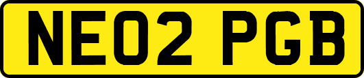 NE02PGB