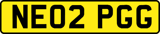 NE02PGG