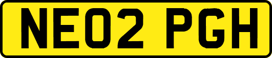 NE02PGH