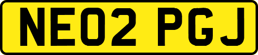 NE02PGJ