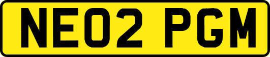 NE02PGM