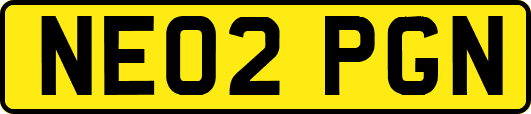NE02PGN