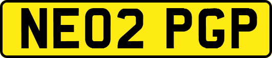 NE02PGP