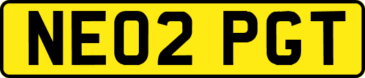 NE02PGT
