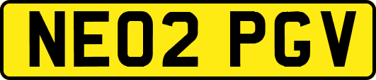 NE02PGV