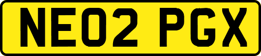NE02PGX
