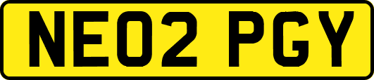 NE02PGY