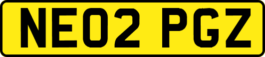 NE02PGZ