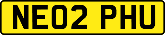 NE02PHU