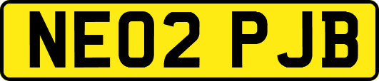 NE02PJB