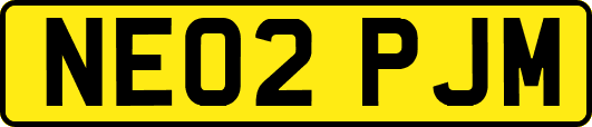 NE02PJM