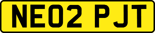 NE02PJT
