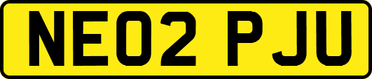 NE02PJU