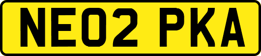 NE02PKA