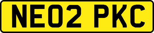 NE02PKC