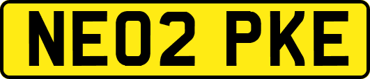 NE02PKE