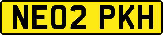 NE02PKH