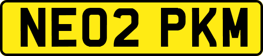 NE02PKM