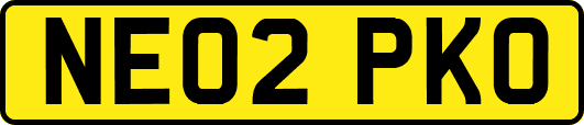 NE02PKO