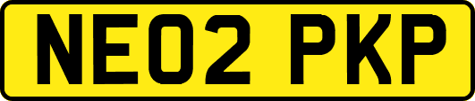 NE02PKP
