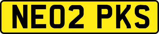 NE02PKS