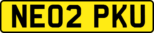 NE02PKU