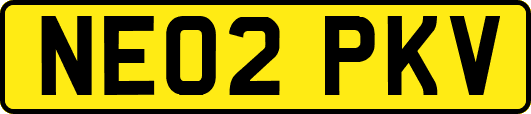 NE02PKV