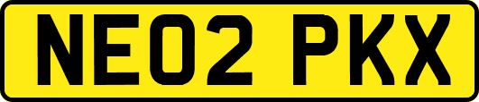 NE02PKX