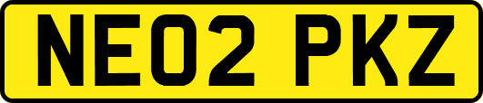 NE02PKZ