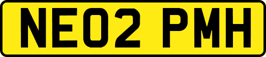 NE02PMH