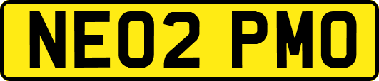 NE02PMO