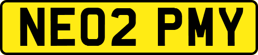 NE02PMY