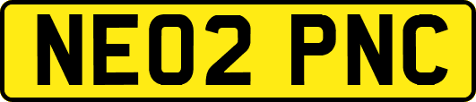 NE02PNC